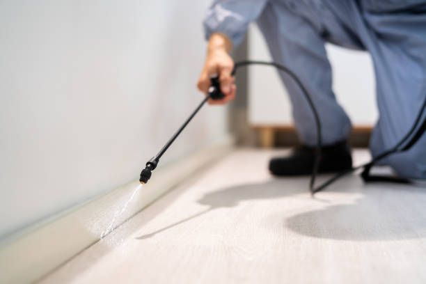 Rodent Entry Point Assessment in Lonaconing