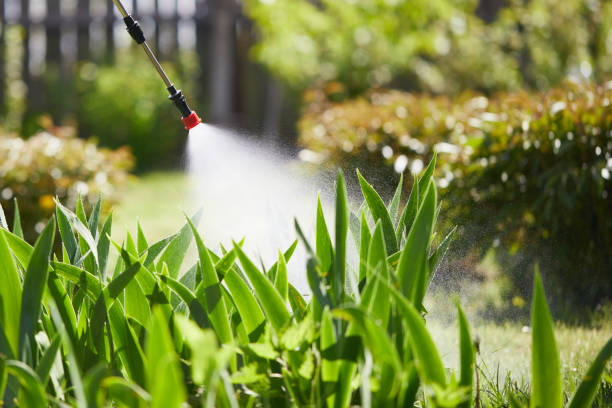 Tamper-Resistant Bait Stations for Rodents in Lonaconing