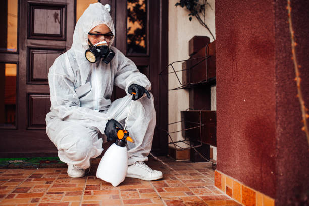 Attic and Crawl Space Rodent Treatment in Lonaconing