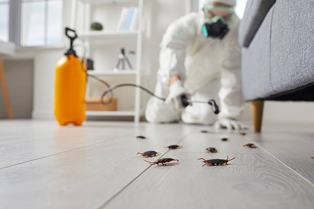 Commercial Rodent Management in Lonaconing